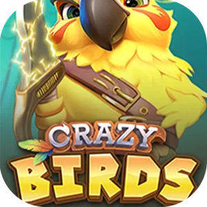 Crazy Birds